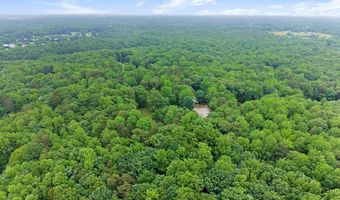 802 Old Mill Trl, Ball Ground, GA 30107