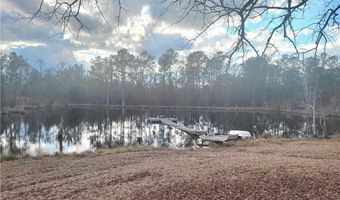601 HERBERT BROWN Rd, Auburn, AL 36830