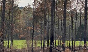 03 County Road 6650, Banks, AL 36005