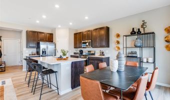 1251 Glenmont St, Algonquin, IL 60102