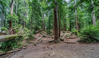 E 16th Street, Arcata, CA 95521