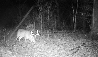 Gun Baoyu Road, Belzoni, MS 39038