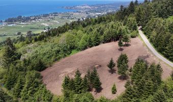 McVay Creek Rd TL310, Brookings, OR 97415