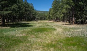 Cimarron Trail lot 551, Angel Fire, NM 87710