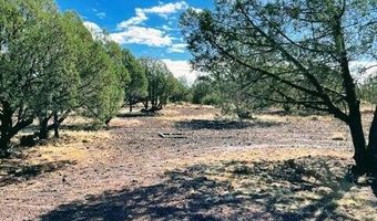 211 Ricochet Way, Ash Fork, AZ 86320