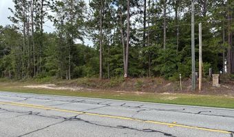 0 Newton Rd, Bainbridge, GA 39817