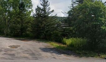 00 Crescent Hill Rd, Andes, NY 13731