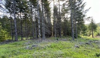 NW LODGE Rd, Banks, OR 97106