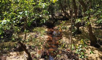 Noland Pond Road, Alford, FL 32420