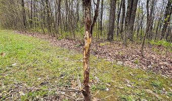 Tract 4 E Pine Road Common, Bloomfield, IN 47424