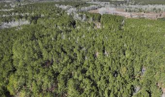 00 Hadwin Rd, Bamberg, SC 29003