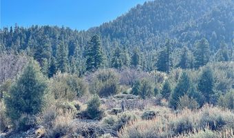 4 Camp Bonanza Rd, Cold Creek, NV 89124