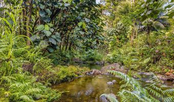 ILIOPUA RD, Honomu, HI 96728