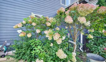 1734 S 11th St, Adel, IA 50003