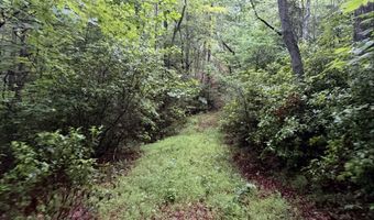 Tdb Cove Creek Rd, Bastian, VA 24314