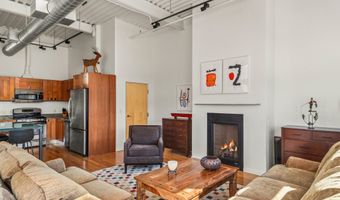 231 Robinson St #R-340, Basalt, CO 81621