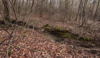 Saint John Road, Braxton, MS 39044