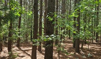26 55 Acres Namozine Rd, Amelia Court House, VA 23002