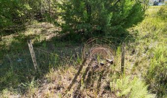 55 Th St, Bell, FL 32619