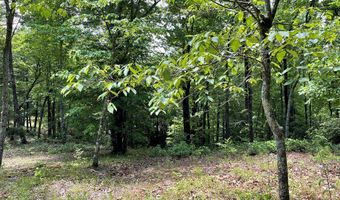 21 Collett Woods Trl Lot #21, Andrews, NC 28901