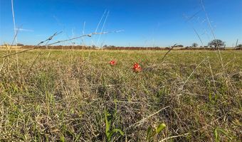 384 Cr-1475, Alvord, TX 76225