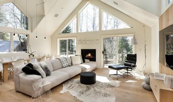 725 Castle Creek Dr, Aspen, CO 81611