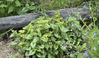 4351 Crown Point Rd, Bridport, VT 05734