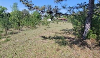 601 HERBERT BROWN Rd, Auburn, AL 36830