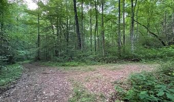 000 Chestnut Oaks, Andrews, NC 28901