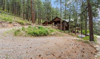 203 Hilltop Dr, Bayfield, CO 81122