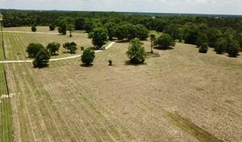 1402 W 12th St, Alma, GA 31510