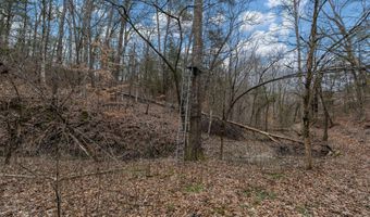 Smithtown Road, Afton, TN 37616