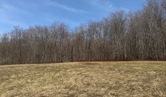 Lot 2 Doig Hollow Road, Andes, NY 13731