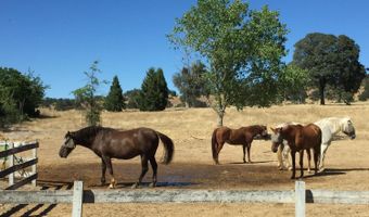 180 Stallion Way, Angels Camp, CA 95222