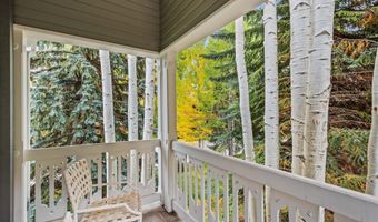 431 W Hopkins Ave, Aspen, CO 81611