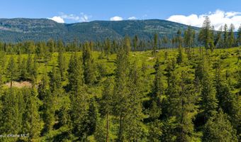 NNA This Way Rd Lot 3 20 Acres, Bonners Ferry, ID 83805
