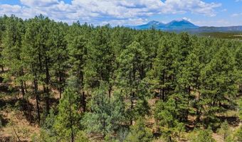 23251 Elk Trl, Aguilar, CO 81020