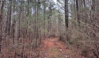 920 A Auburn Dr, Bogue Chitto, MS 39629