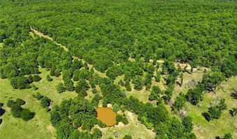 210 County Road 320, Alton, MO 65606