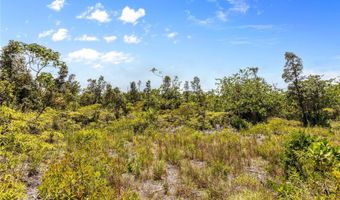 15-929 Lemiwai Rd, Keaau, HI 96749