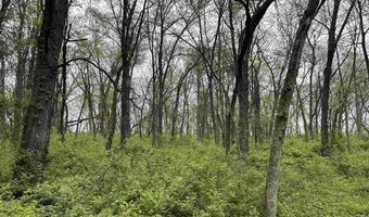 168 Th St, Albia, IA 52531