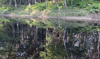 Cummings Lane, Acton, ME 04468