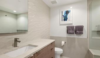 447 E Cooper Ave 1, Aspen, CO 81611