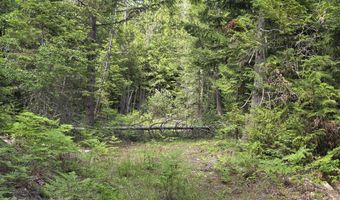5784 River Rd, Clark Fork, ID 83811