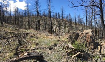 3600 Moondance Way, Bellvue, CO 80512