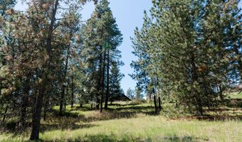 37 Red Tail Rdg, Bigfork, MT 59911