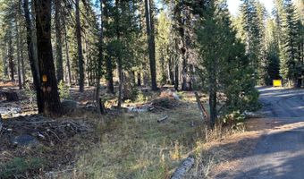 550 Cabbage Patch Log Rd, South Lake Tahoe, CA 95223