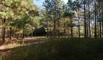 01 Goose Platter Rd, Batesburg, SC 29006