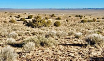 N7009 40 Acres, Chambers, AZ 86502