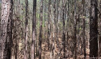 274 CR 3301, Booneville, MS 38829